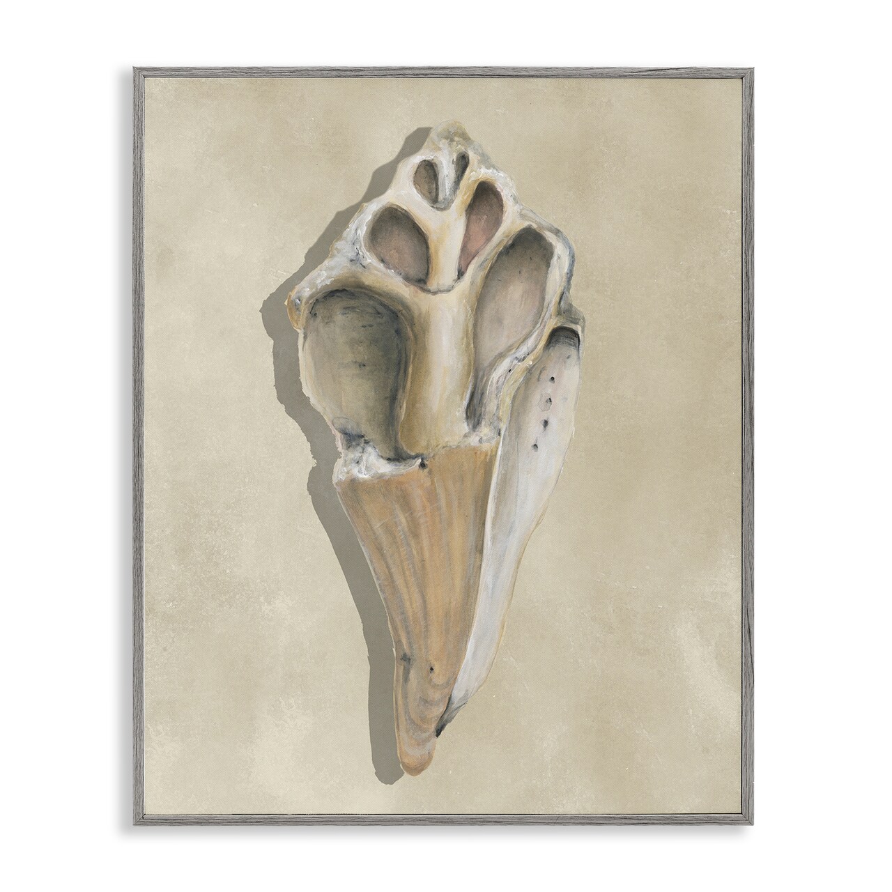 Stupell Industries Broken Conch Shell Framed Giclee By Michael Willett